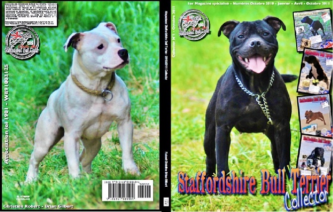 of Celtic Oak -  Sortie du Livre Collector sur le Staffordshire Bull Terrier 2010-2011