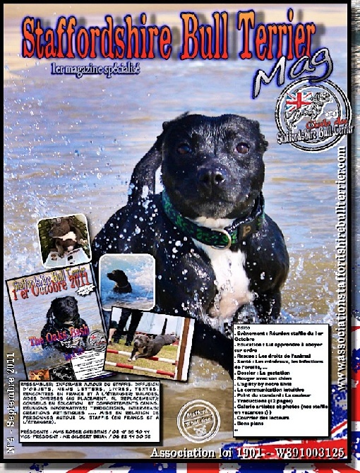 of Celtic Oak - Sortie du Magazine Spécialisé Staffordshire Bull Terrier de Septembre 