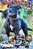  - Sortie du Magazine Spécialisé Staffordshire Bull Terrier JANVIER 2012