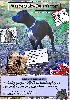  - Staffordshire Bull terrier Mag - Premier numéro - parution 5 Octobre 