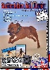  - Mag N°3 spécialisé Staffordshire Bull Terrier - Sortie 25 Avril 2011 