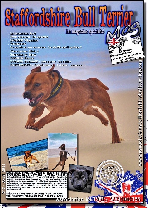 of Celtic Oak - Mag N°3 spécialisé Staffordshire Bull Terrier - Sortie 25 Avril 2011 