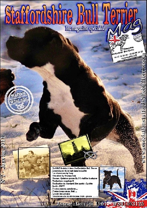 of Celtic Oak - Sortie Aujourd'hui du deuxième magazine spécialisé Staffordshire Bull 