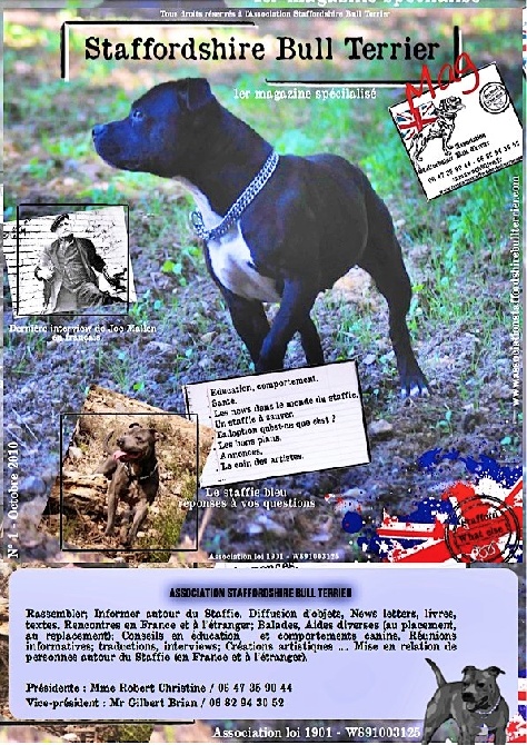 of Celtic Oak - Sortie du 1er magazine spécialisé Staffordshire Bull Terrier 